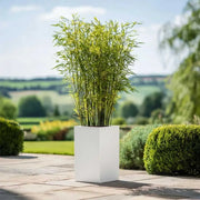 50cm Zinc Galvanised Matte White Tall Square Planter
